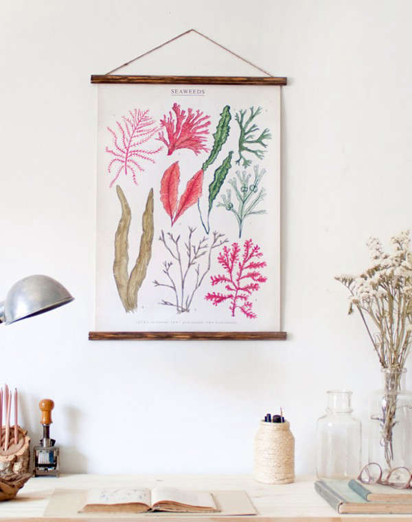 Seaweeds Canvas Poster