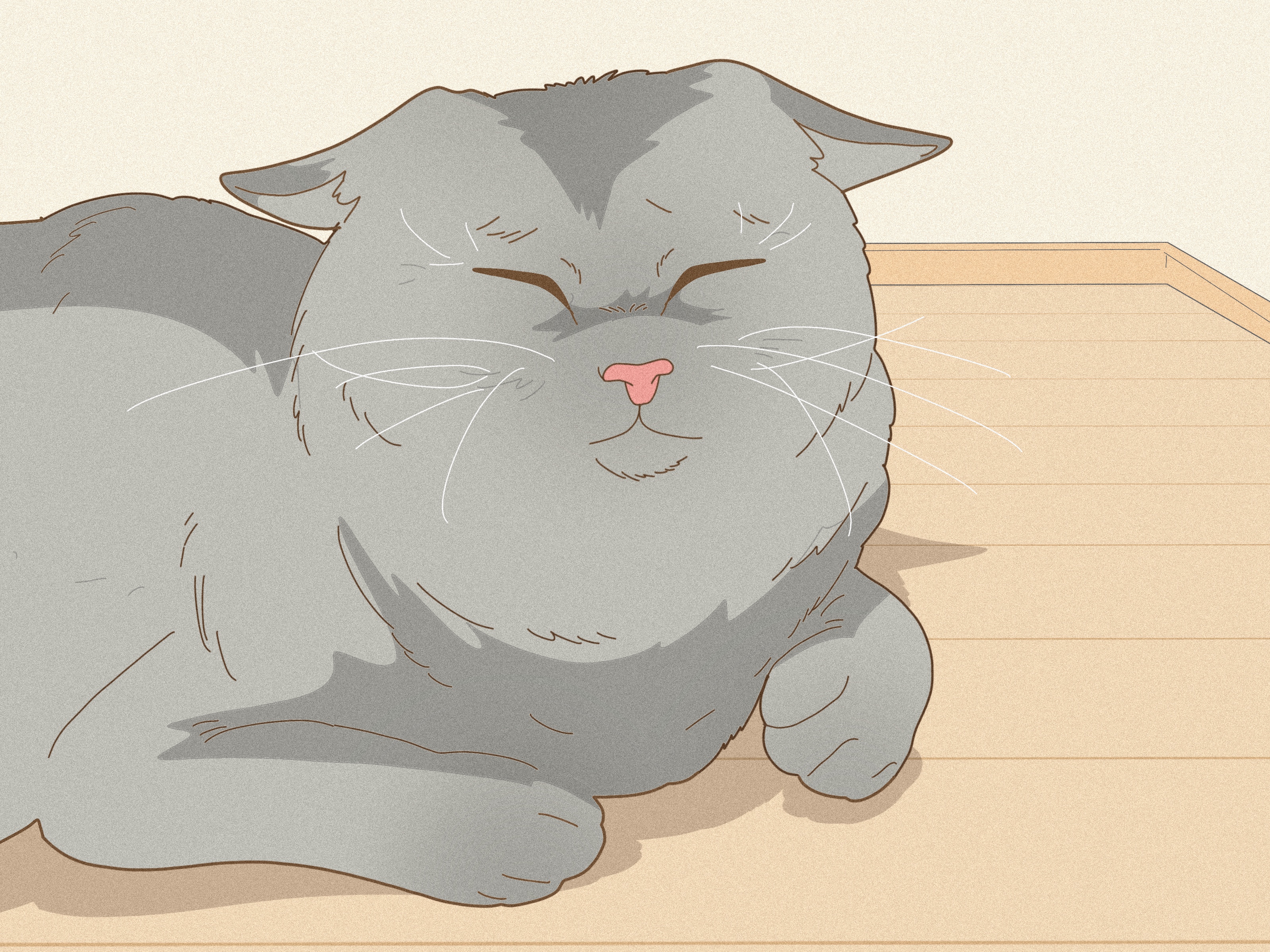 How to Tell If Your Cat Loves You: 14 Signs They Care