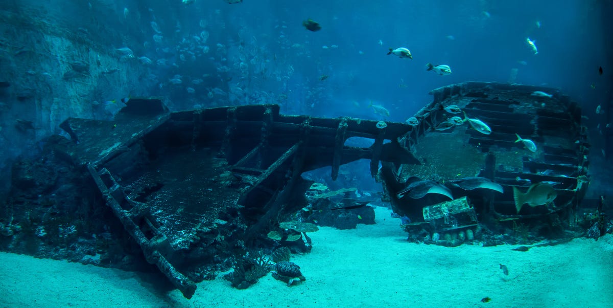A Fisherman Discovered the Wreckage of a 144-Year-Old Ship