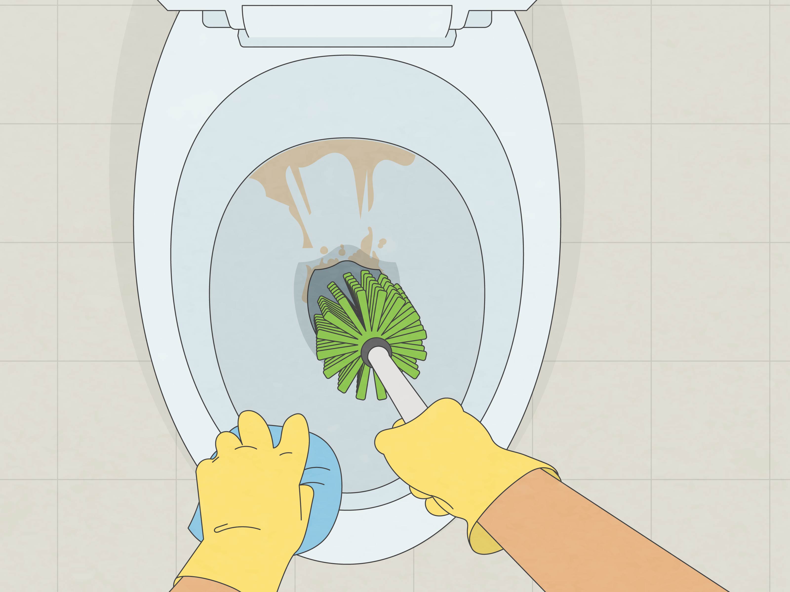 3 Ways to Clean Hard Water Stains in a Toilet