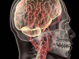 The world’s first human head transplant: could it happen in the next 2 years?
