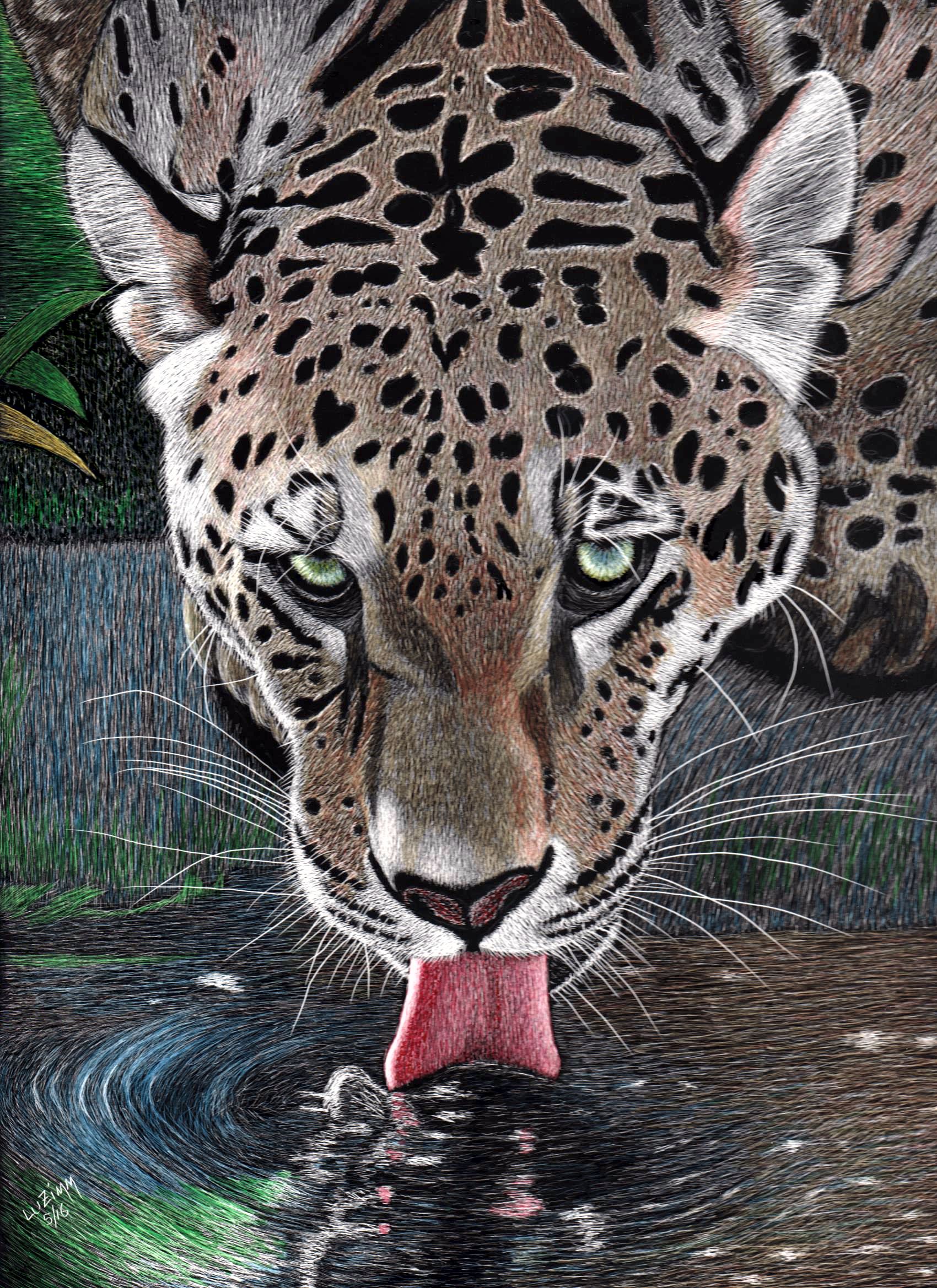 I Found This Beauty Looking For Big Cats On Internet And After 2 Weeks Of “Scratching”, This Is The Result! This Leopard Went To Canada To Join The Lioness A Few Weeks Ago! – Www.luzimmscratchart.com