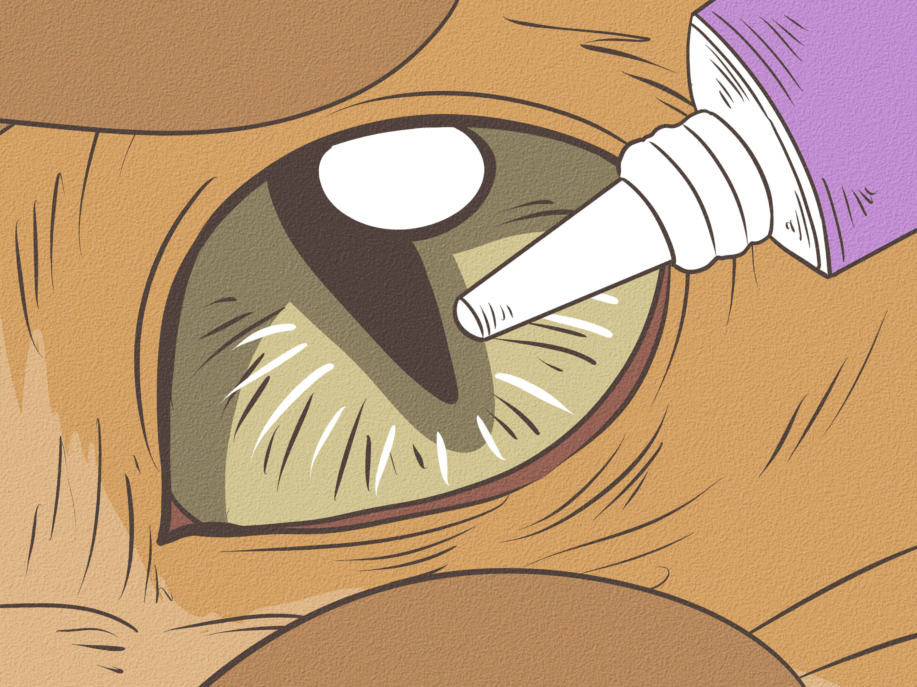 How to Treat Cat Eye Infection: 9 Steps
