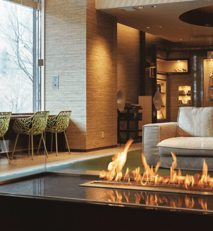 Appliances: EcoSmart Fireplaces